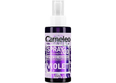 Delia Cosmetics Cameleo Spray & Go tónovaná vlasová pasta Purple 150 ml