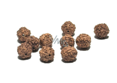 Rudraksha prírodný korálik 7 mm, 10 kusov