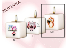 Lima Sovy Múdra sova s knižkou sviečka s odtlačkom biela kocka 45 x 45 mm 1 kus